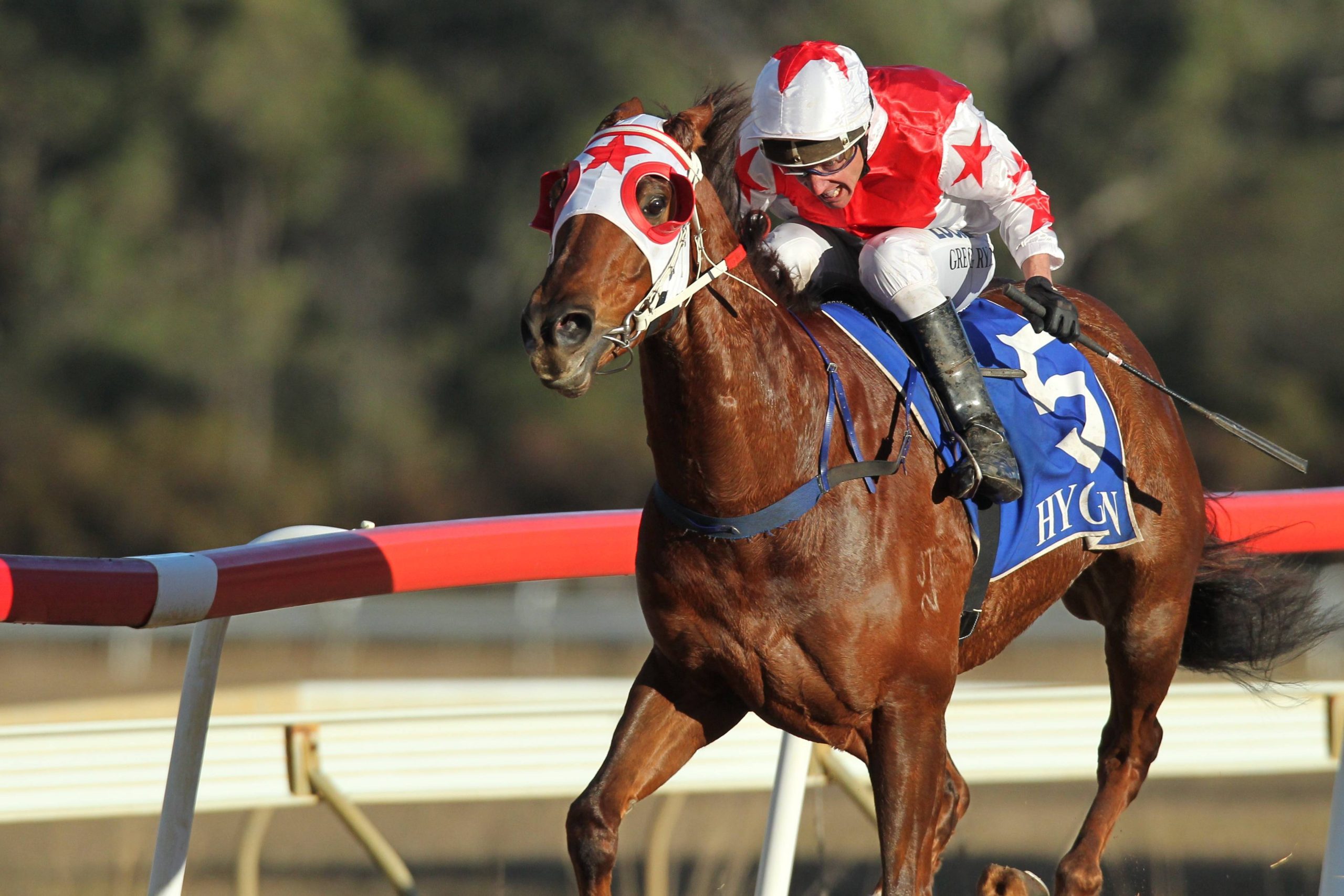Cessnock’s Jungle Juice Cup Winter horse racing carnival.